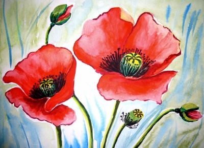 mohn2gr.jpg