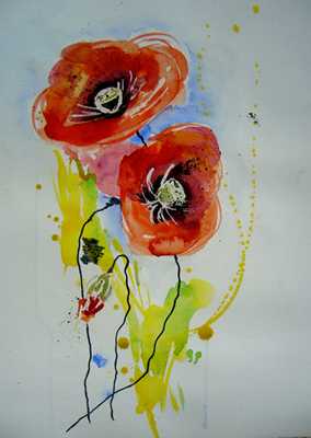 rotermohn.jpg